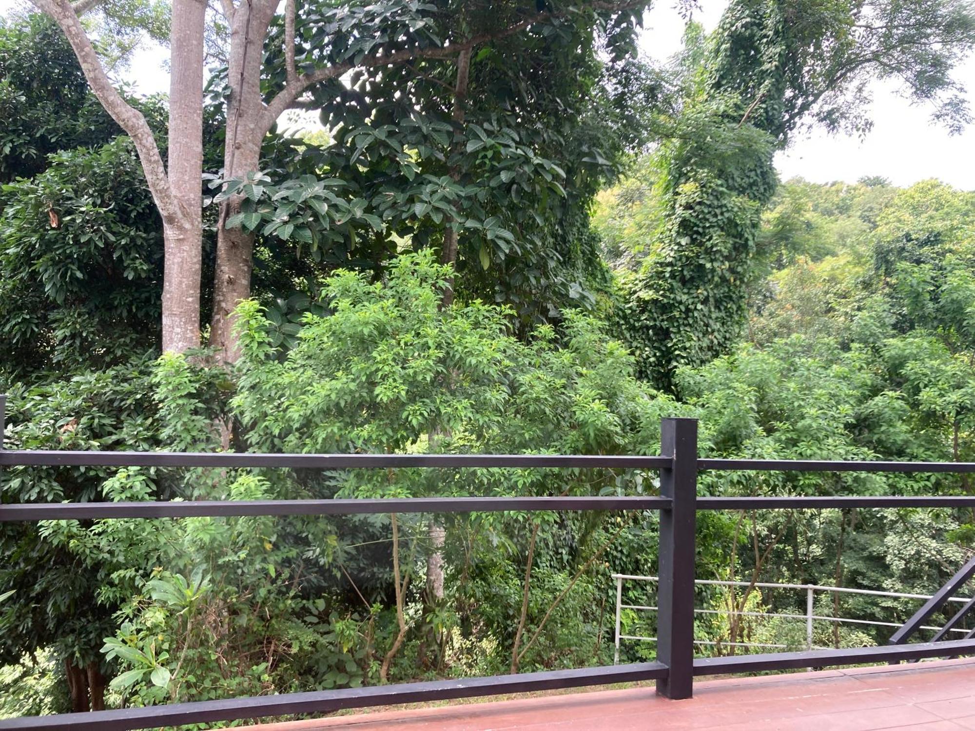 Maesa Greenery Hill Sha Mae Rim Buitenkant foto