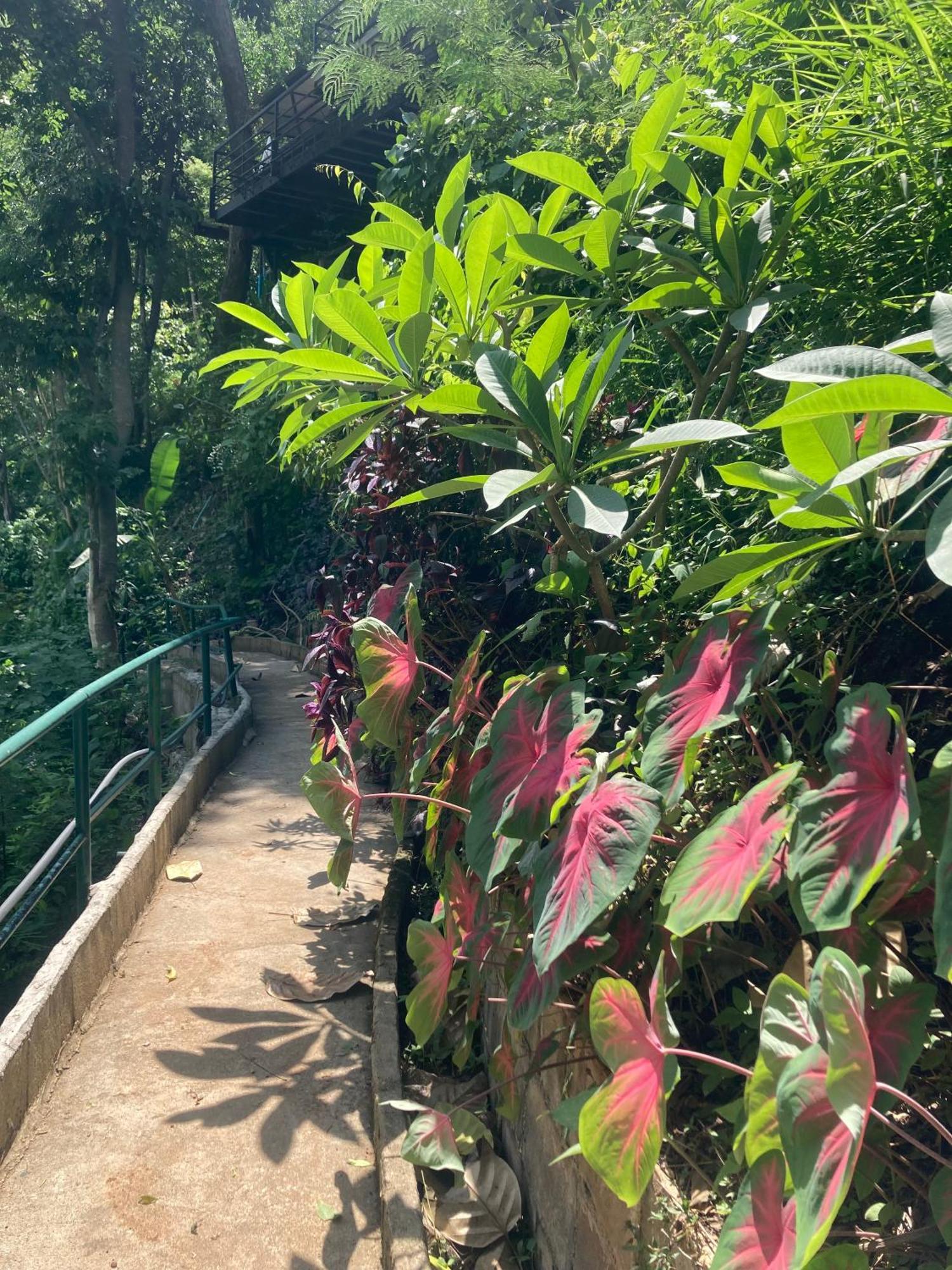 Maesa Greenery Hill Sha Mae Rim Buitenkant foto